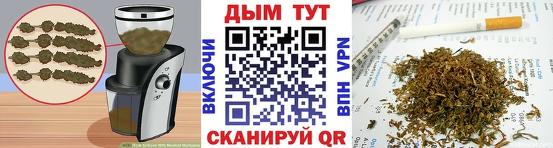 Купить где  Малая Вишера  Canna-Cookies конопля 