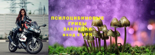 spice Шадринск