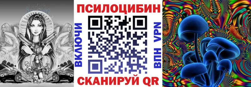 Купить закладки  Малая Вишера  Псилоцибиновые грибы Psilocybine cubensis 